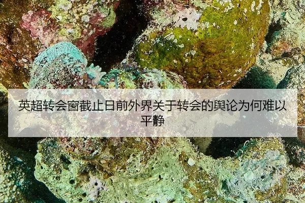ying-chao-zhuan-hui-chuang-jie-zhi-ri-qian-wai-jie-guan-yu-zhuan-hui-de-yu-lun-wei-he-nan-yi-ping-jing-2-435.jpg